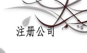 無(wú)為一般納稅人代賬費(fèi)用是多少錢